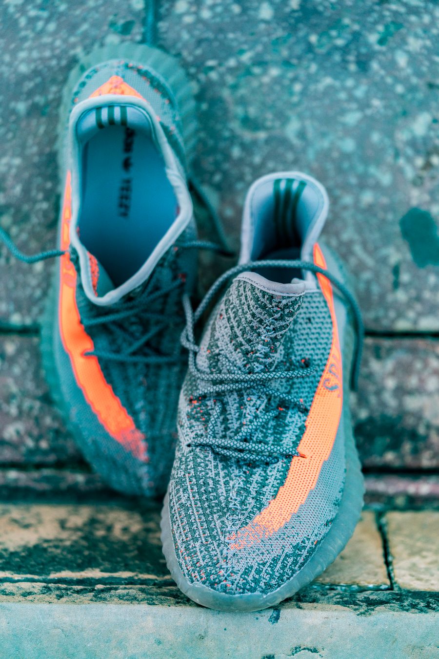 Adidas Yeezy Boost 350
