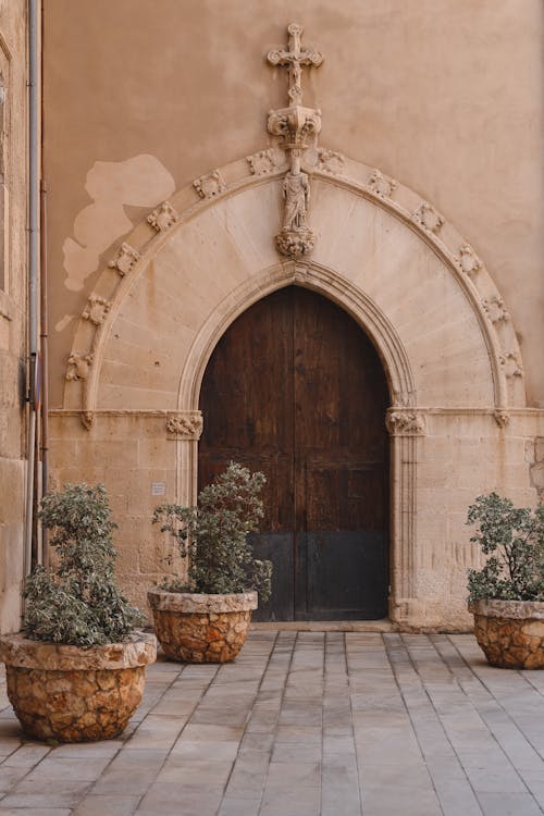 A Brown Wooden Church Door near the Potted Plants