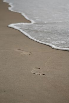 Footprints leading into gentle waves at seashore, evoking peace and solitude.
