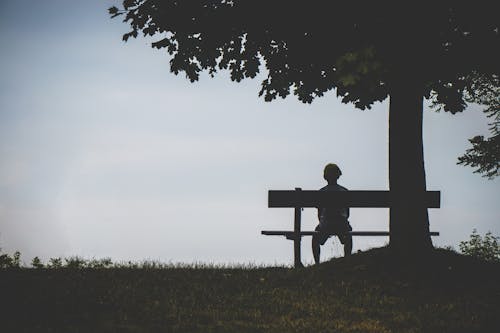 Free Person Sitting on Bench Under Tree Stock Photo