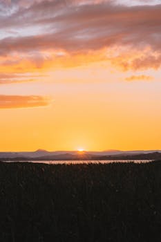 Stunning sunrise view with vibrant sky above a peaceful grass field.