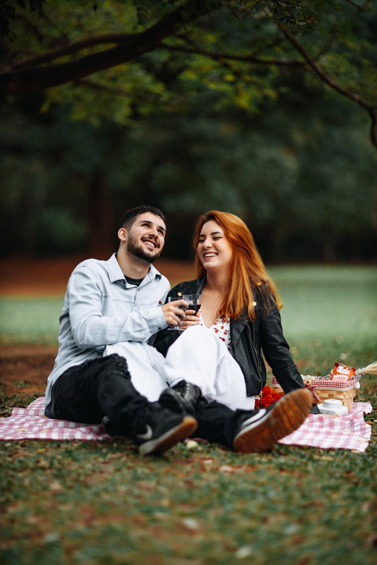 Couple Drinking Wine At A Picnic