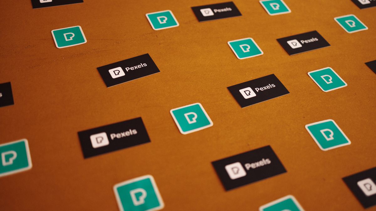 A designer reviewing brand identity materials