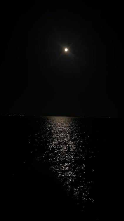 Darmowe zdjęcie z galerii z deniz, dolunay, gece
