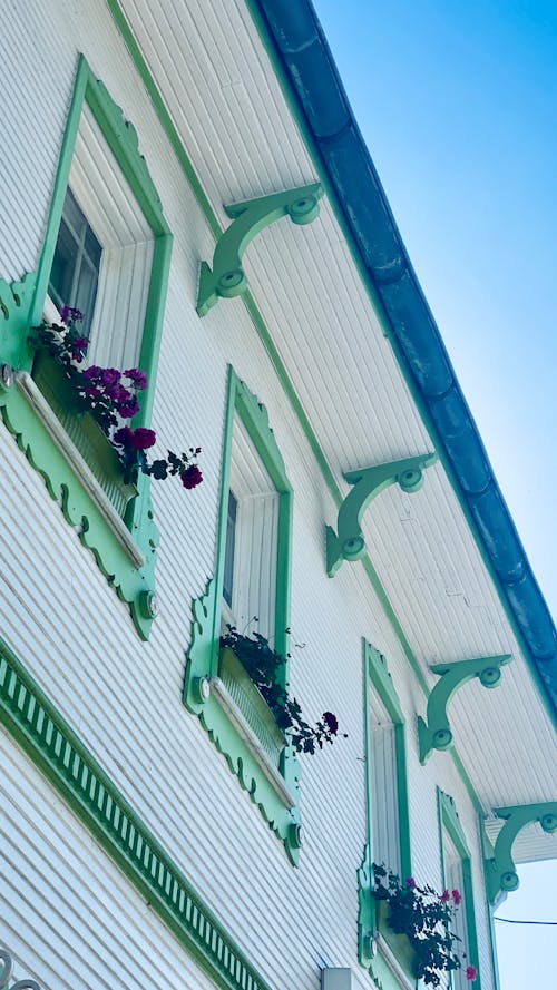 伊斯坦堡, 房屋, 绿，蓝 的 免费素材图片