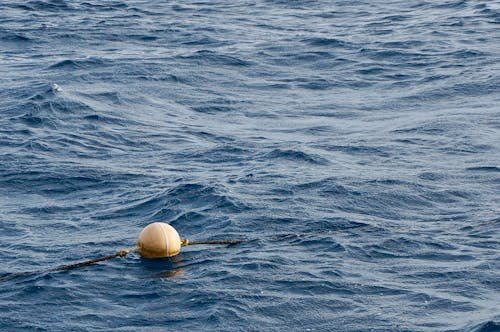 Free Round Buoy Floating at Sea Stock Photo