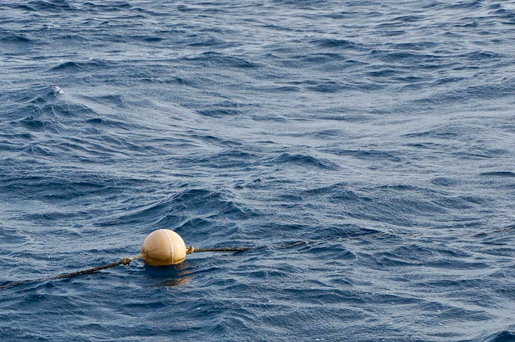 Round Buoy Floating At Sea