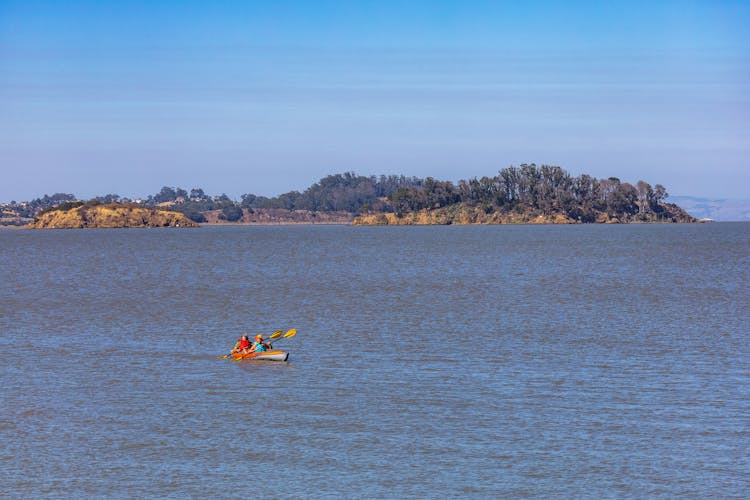 People Paddling While On A Kayak