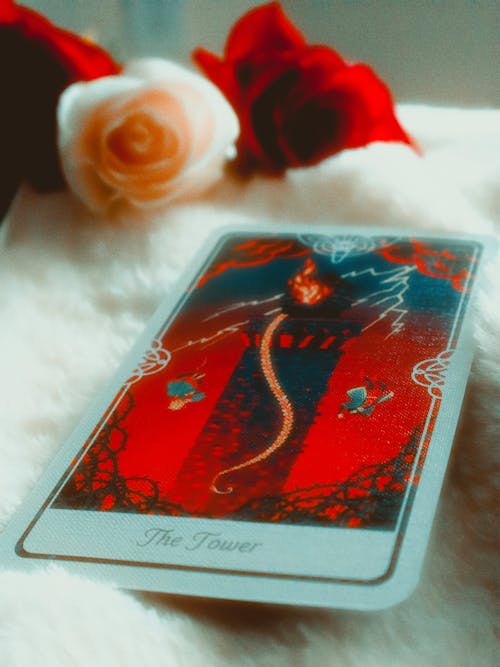 Tarot Card and Roses