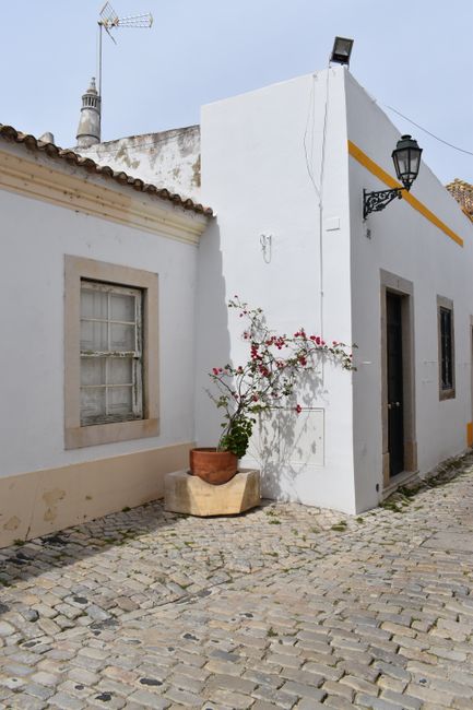 A picturesque view of a white house corner on a cobblestone street with a potted plant.