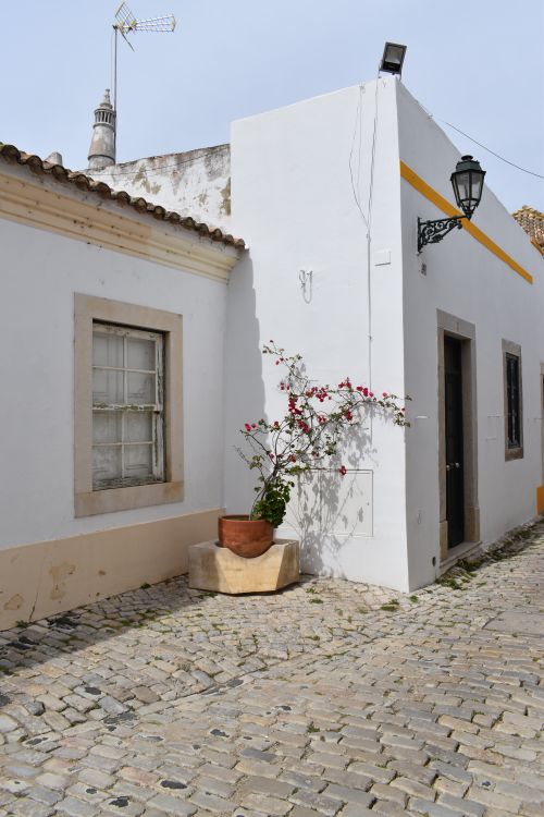 Free A picturesque view of a white house corner on a cobblestone street with a potted plant. Stock Photo