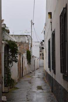 A deserted narrow urban alleyway with wet pavement and vine-covered walls on a rainy day.