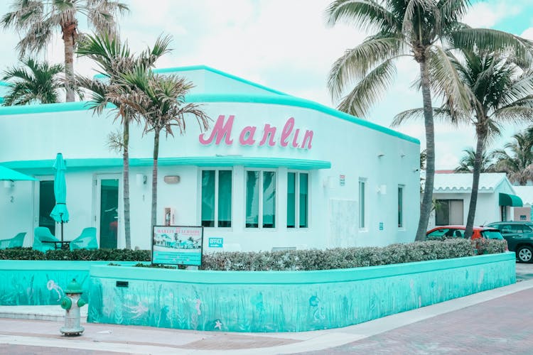 A Blue Building Near Palm Trees