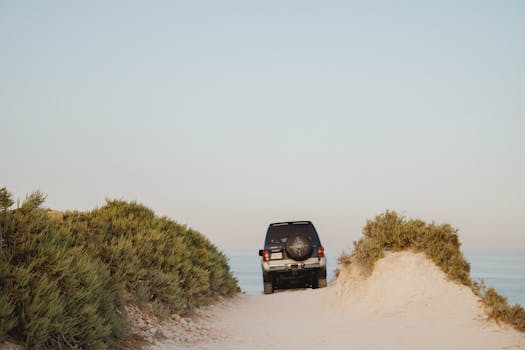 An SUV parked on a sandy path near the beach, surrounded by greenery.