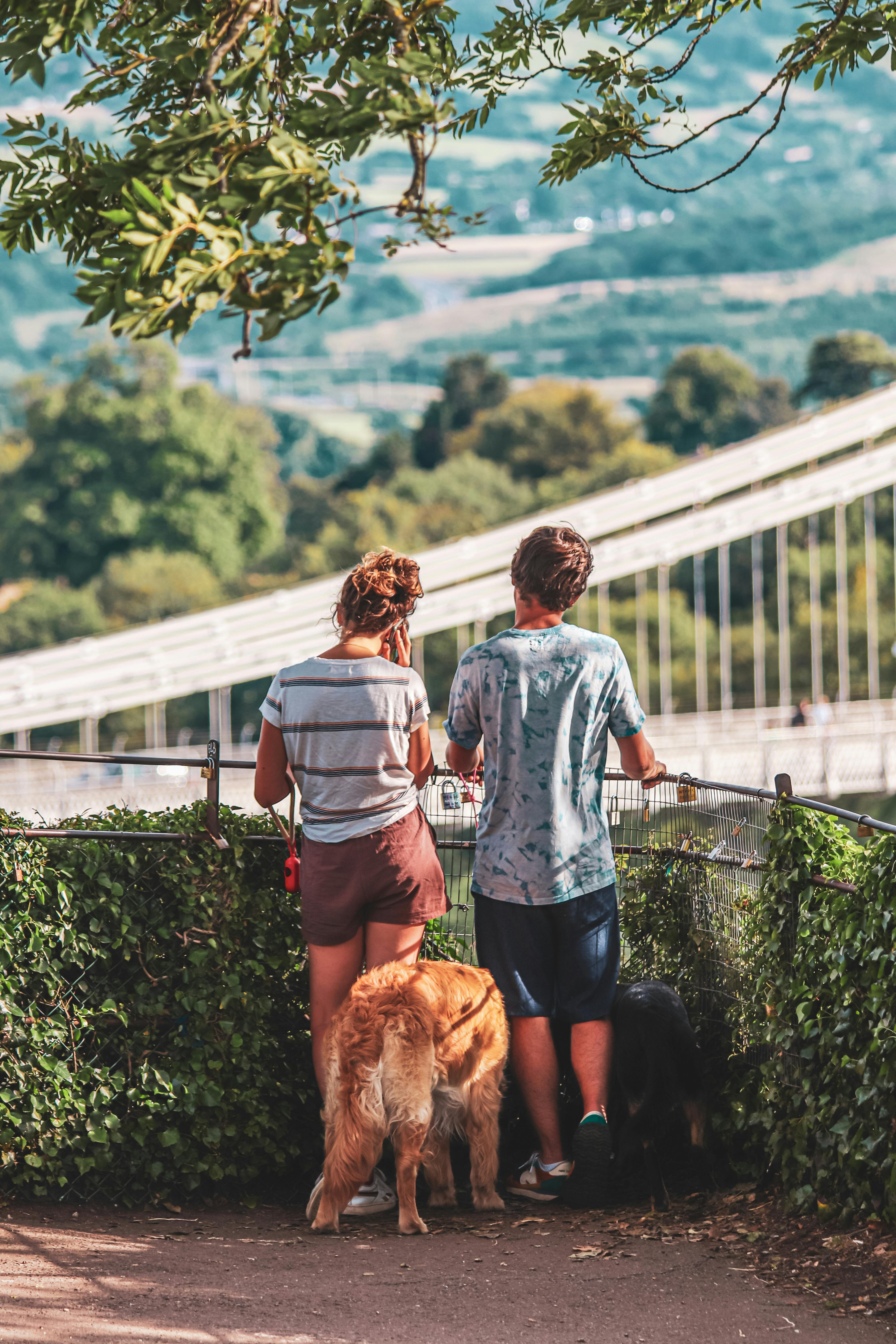 Sneyd Park Bristol: Discover Hidden Gems in This Charming Area 2 Why Sneyd Park, Bristol Should Be Your Next Weekend Getaway: Explore These Unique Landmarks