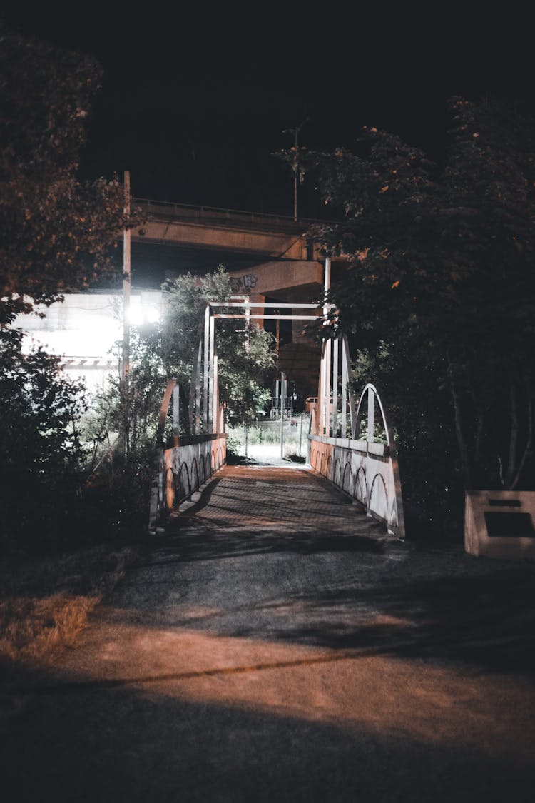 Concrete Footbridge In A Park