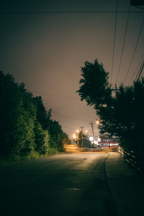 Free A serene nighttime road scene illuminated by streetlights, framed by trees and power lines. Stock Photo
