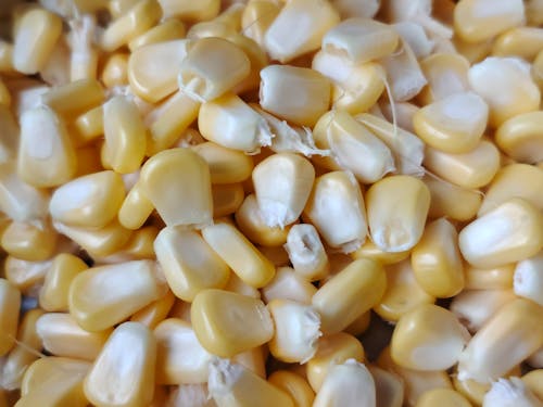 Close-up Photo of Shredded Corn
