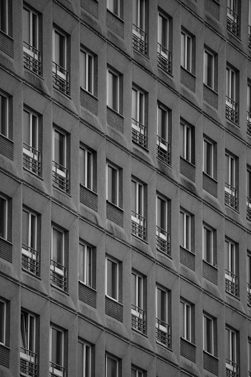 Free Grayscale Photo of Building Windows Stock Photo