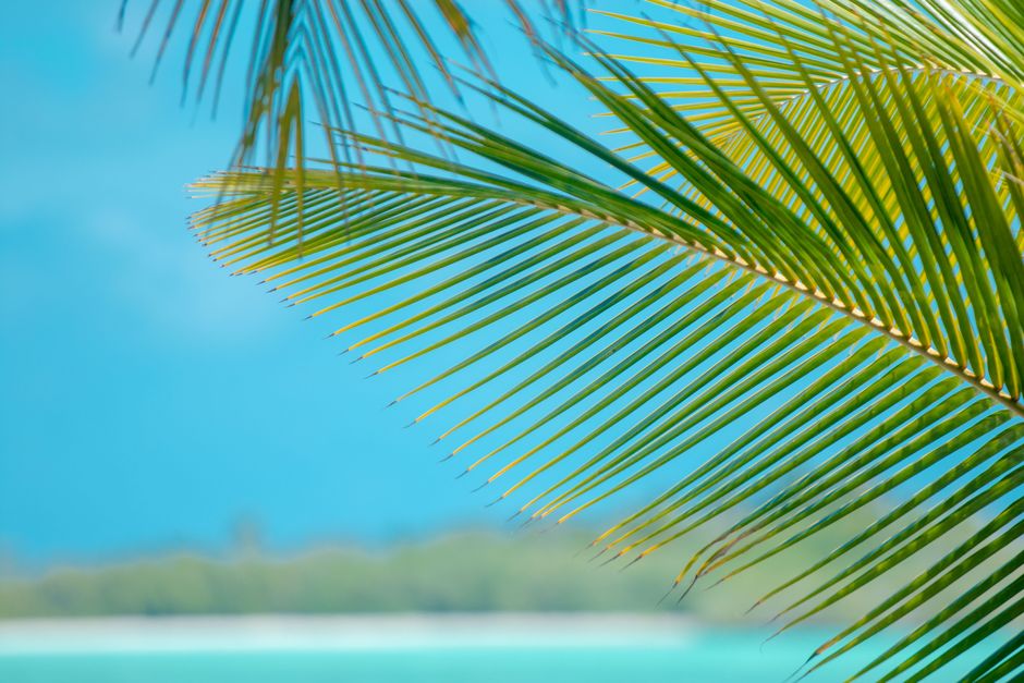 AI‑Powered Summer Theme Generator