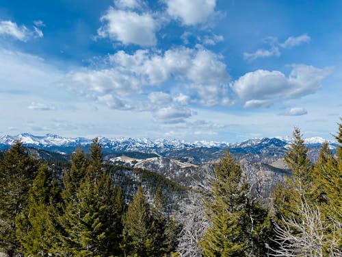 Aerial Photography of Green Trees and Snow-Covered Mountains under the Cloudy Sky