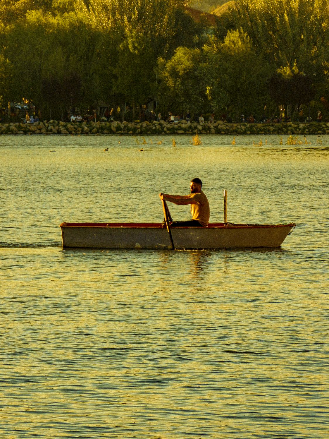 Man Riding a Boat on the Ocean during Sunset · Free Stock Photo