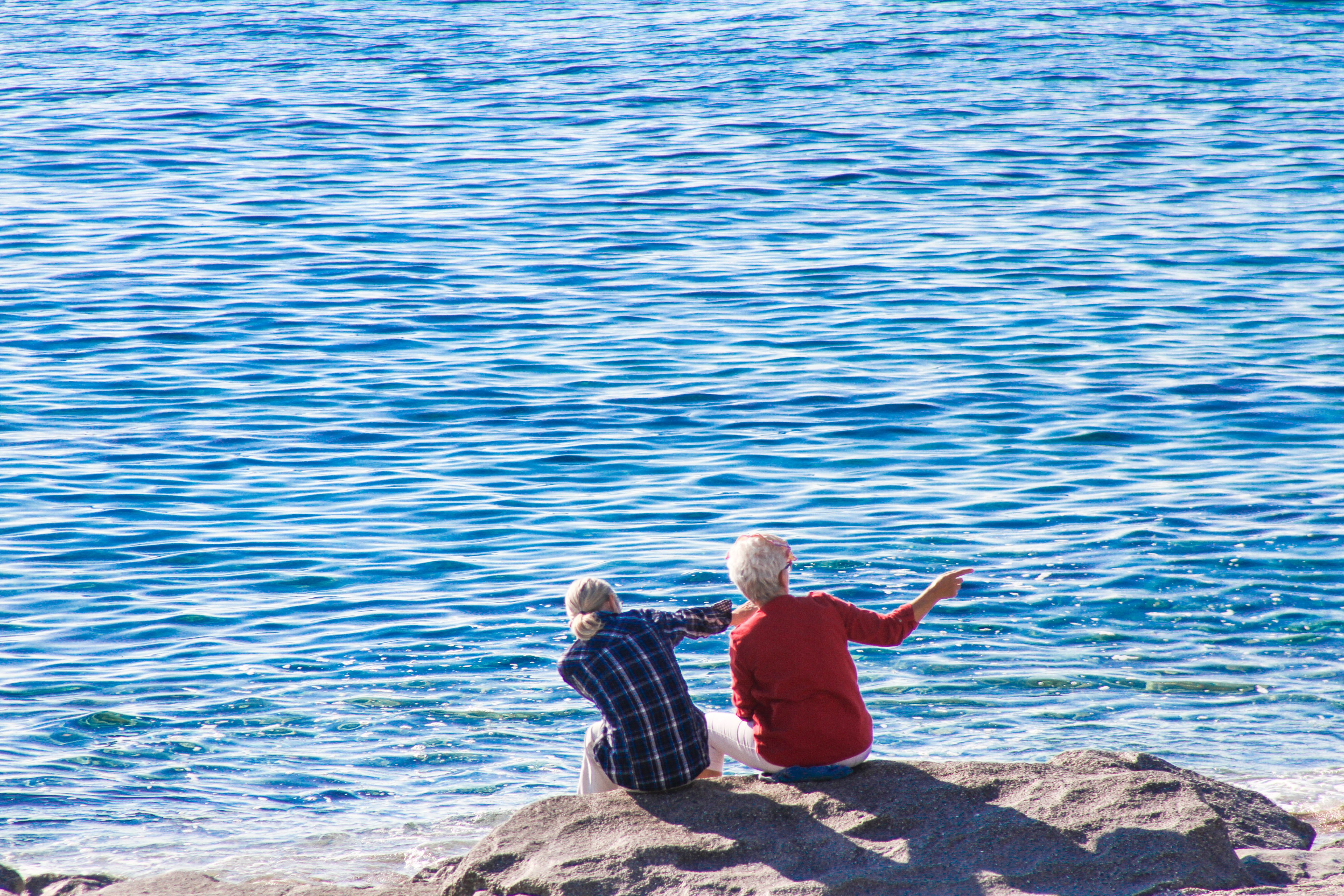 How to Retire Early: A Guide to Financial Independence — Photo by Feyza  Tuğba on Pexels