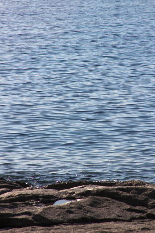 Free Peaceful ocean scene with gentle waves lapping against rocks under a clear sky. Stock Photo