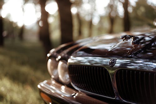 Δωρεάν στοκ φωτογραφιών με jaguar, αυτοκίνηση, γκρο πλαν