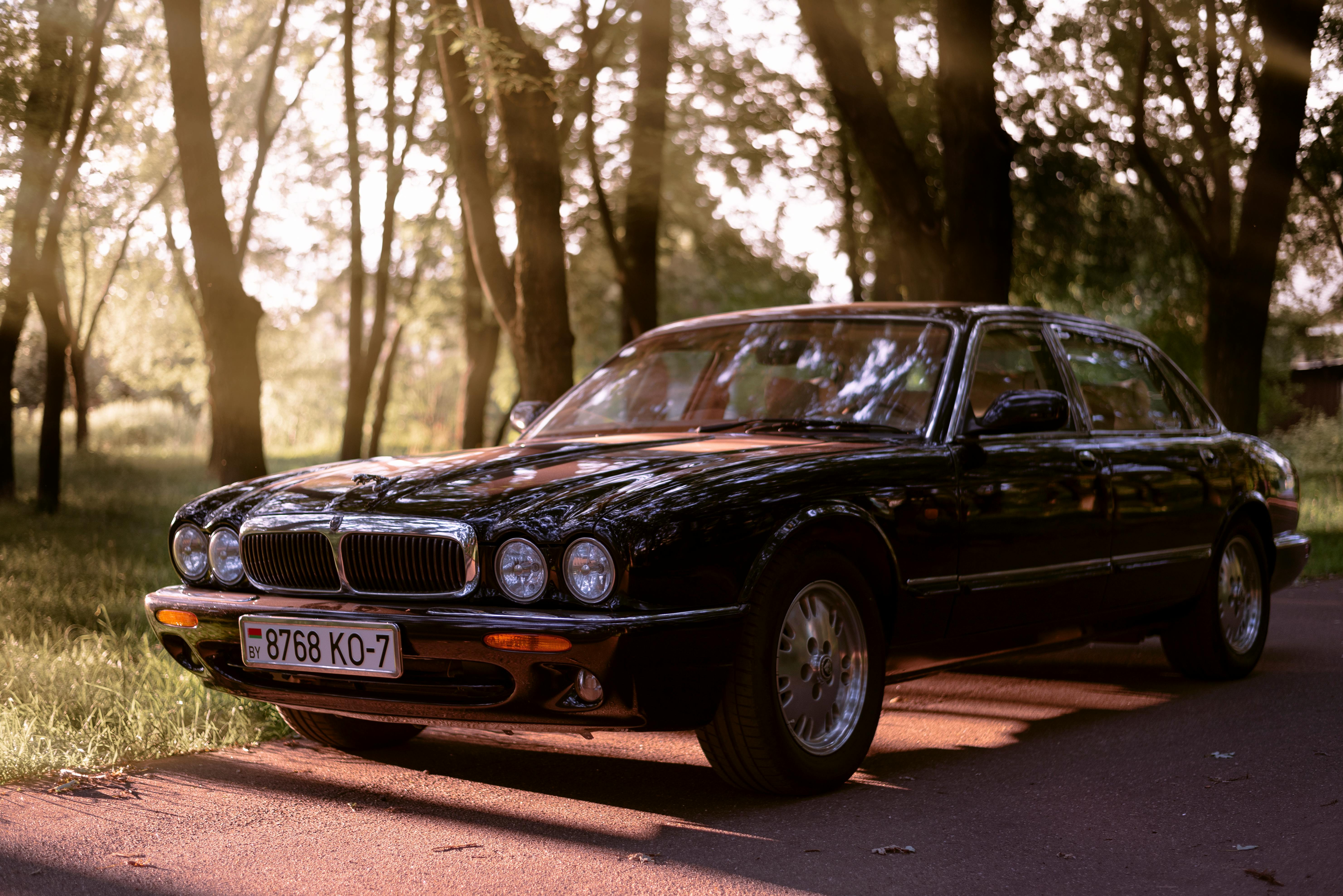 Jaguar 4K wallpapers for your desktop or mobile screen free and easy to  download