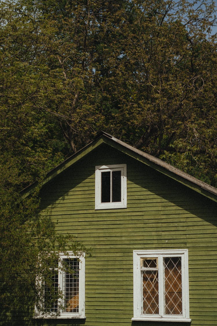 Green House Under Trees