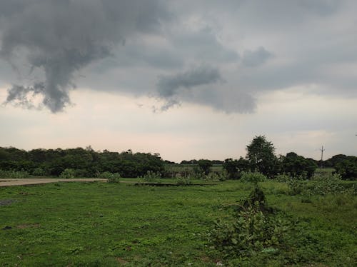 Foto profissional grátis de árvore verde, beleza da natureza, depois da chuva