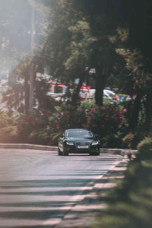 Free A sleek luxury car swiftly navigates a scenic forest road in Izmir, Turkey. Stock Photo