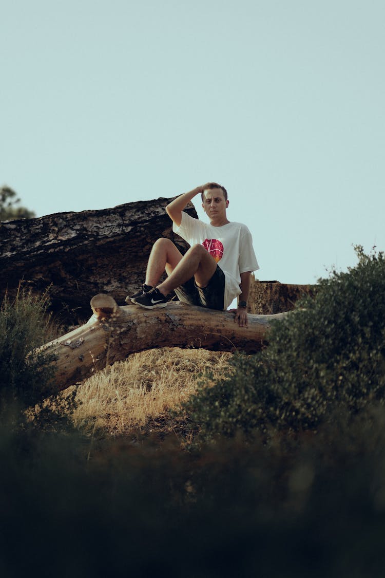 Man Sitting On Bough