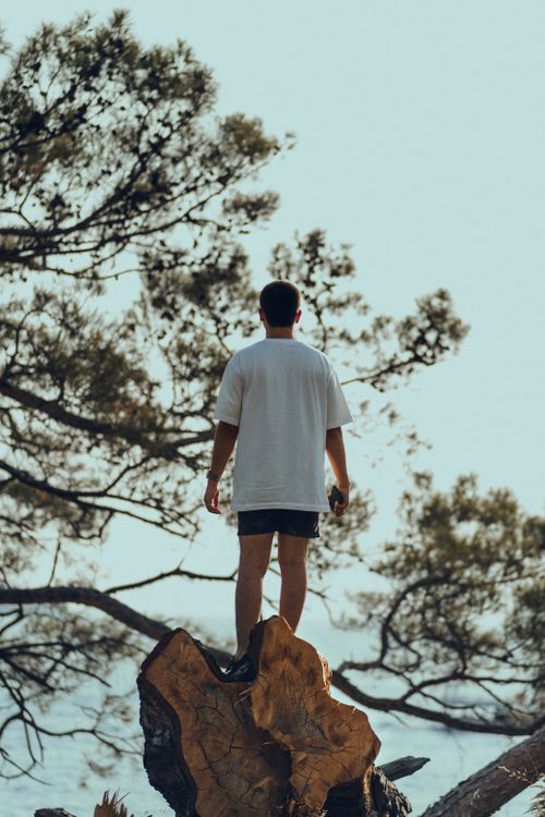 Free A man in a white shirt stands on a tree stump outdoors, surrounded by natural scenery. Stock Photo