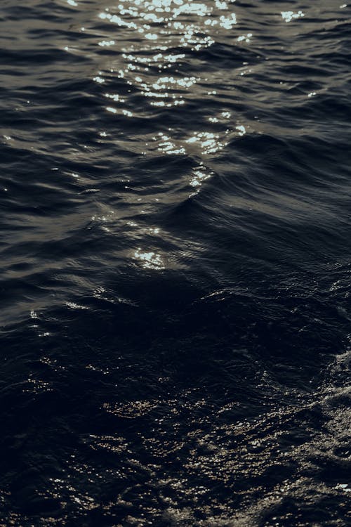 Kostnadsfri bild av gråskale, h2O, hav