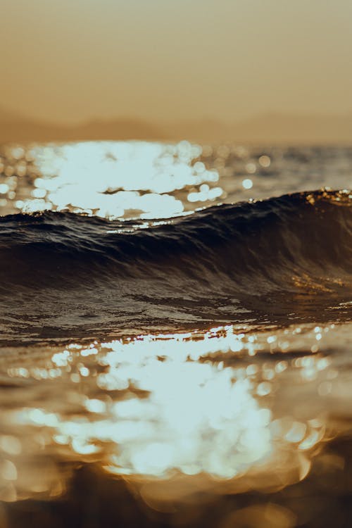물, 바다, 수직 쐈어의 무료 스톡 사진