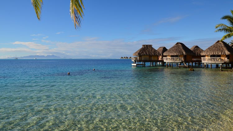 Photo Of A Seascape With Resort Holiday Houses With Straw Roofs