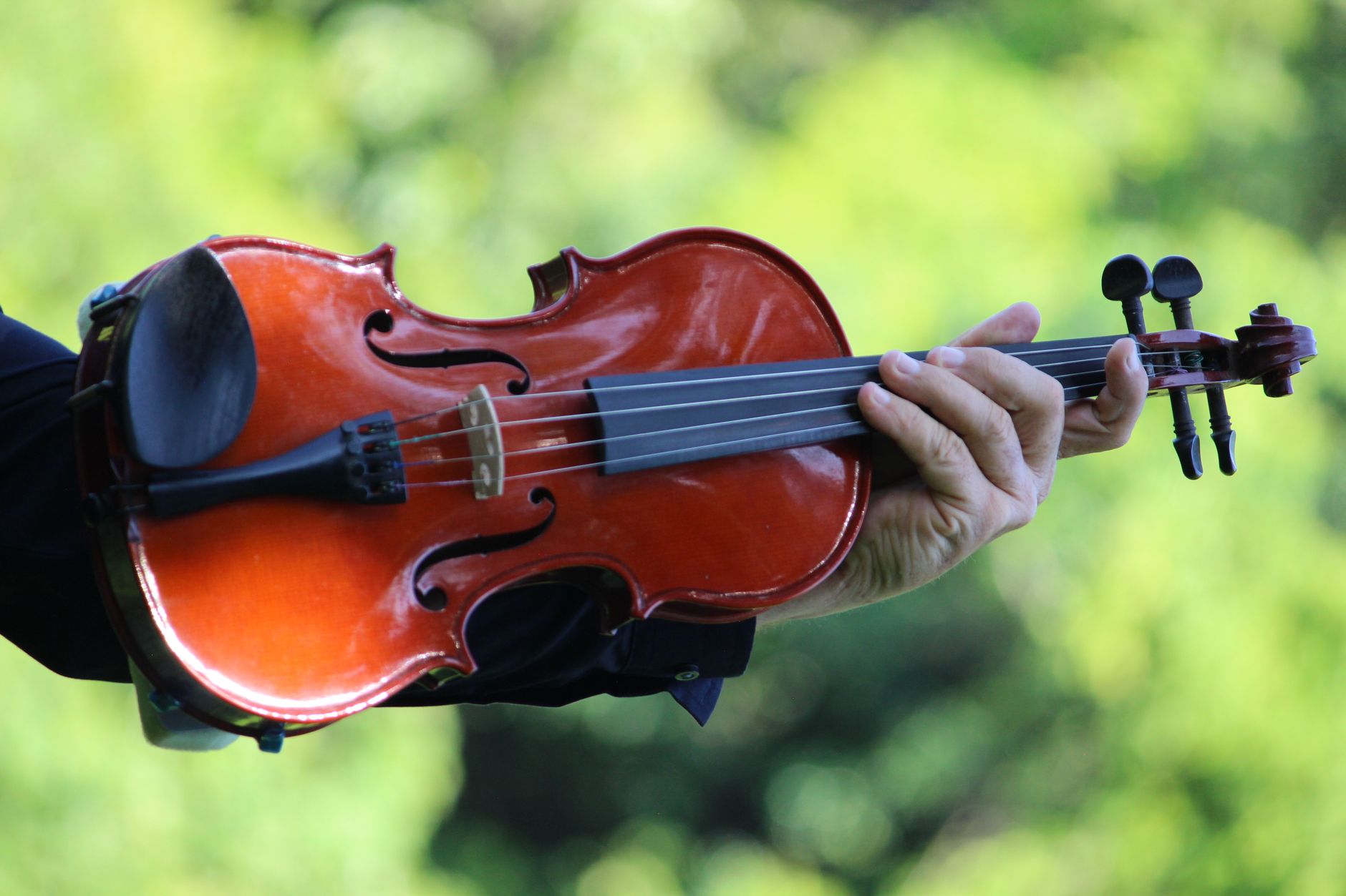 A close-up of a hand holding a classic violin against a blurred green background.