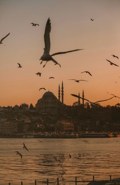 Beautiful dusk view of Istanbul skyline featuring birds in flight and iconic mosques.