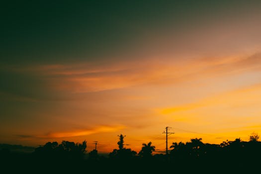 Vivid sunset with silhouettes of trees and power lines, creating a dramatic sky scene.