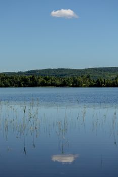 Peaceful lake scene with a single cloud reflecting on the water and lush forest backdrop.