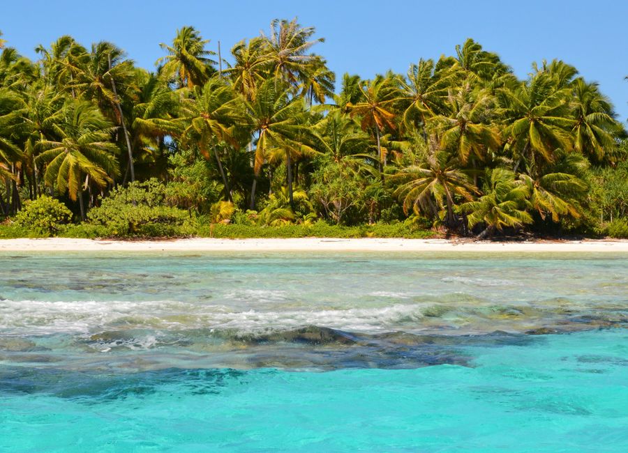 Explore the pristine tropical beach in French Polynesia with turquoise waters and coconut palms.