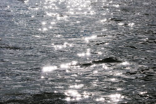 Sun Falling on Water