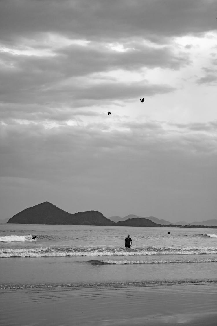 Birds Soaring In The Sky