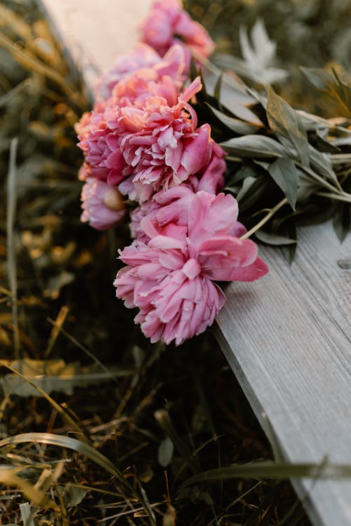 Pink Peonies on Hardwood