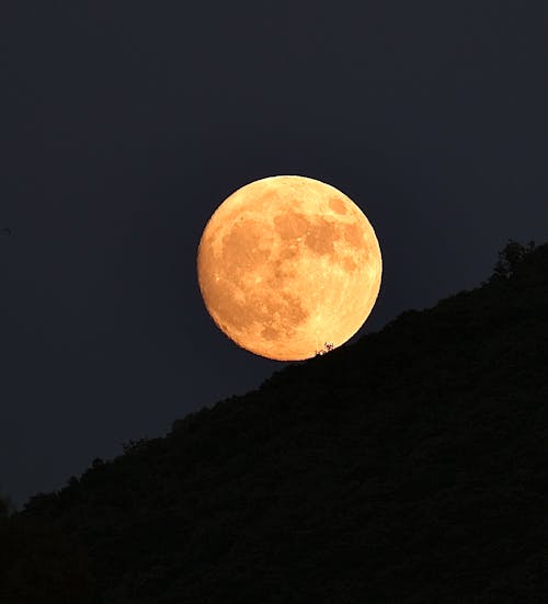 Foto d'estoc gratuïta de astrofotografia, cel, fotografia de lluna