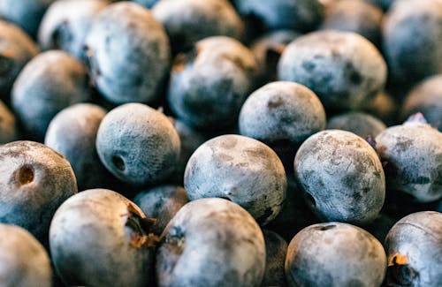 Fotos de stock gratuitas de antioxidante, arándanos azules, comida sana