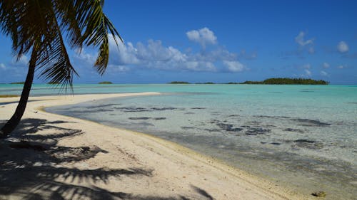 Ingyenes stockfotó kék ég, óceán, strand témában