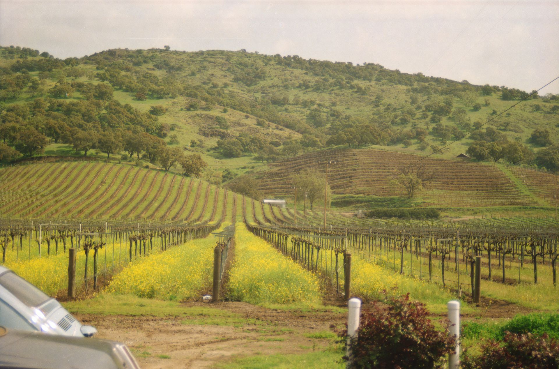Napa Valley